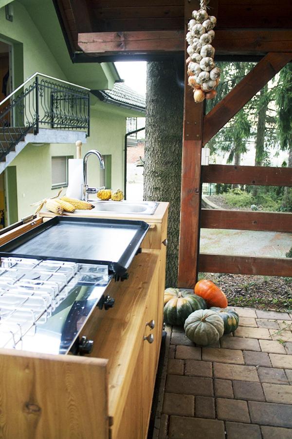 Apartma Pegaz Rogaška Slatina Dış mekan fotoğraf