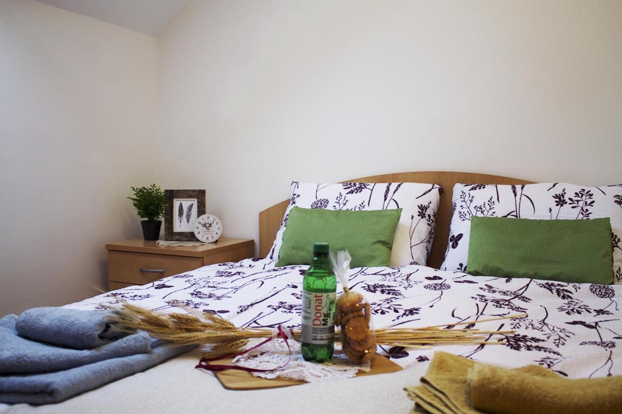 Apartma Pegaz Rogaška Slatina Dış mekan fotoğraf