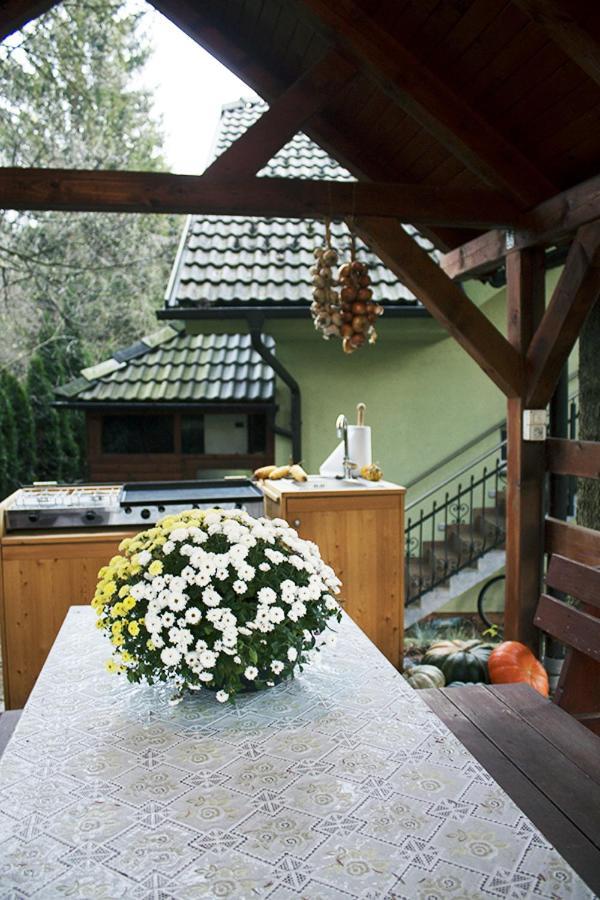 Apartma Pegaz Rogaška Slatina Dış mekan fotoğraf